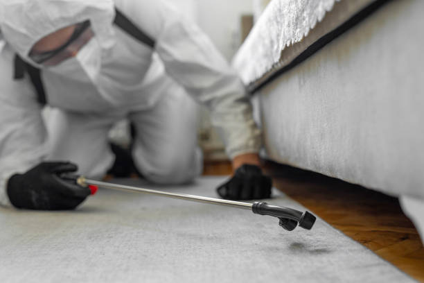 Professional Bed Bug Control technician working in Clarion, IA
