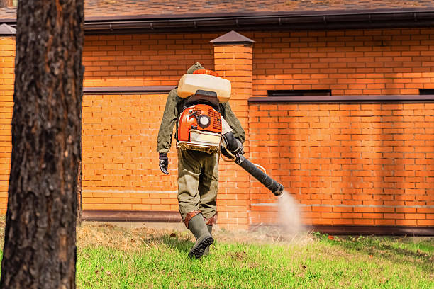 Trusted Emergency Pest Control service in Clarion, IA - Nex Pest Control